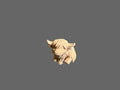 Cute little Highland Cow