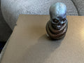 Skull with snake