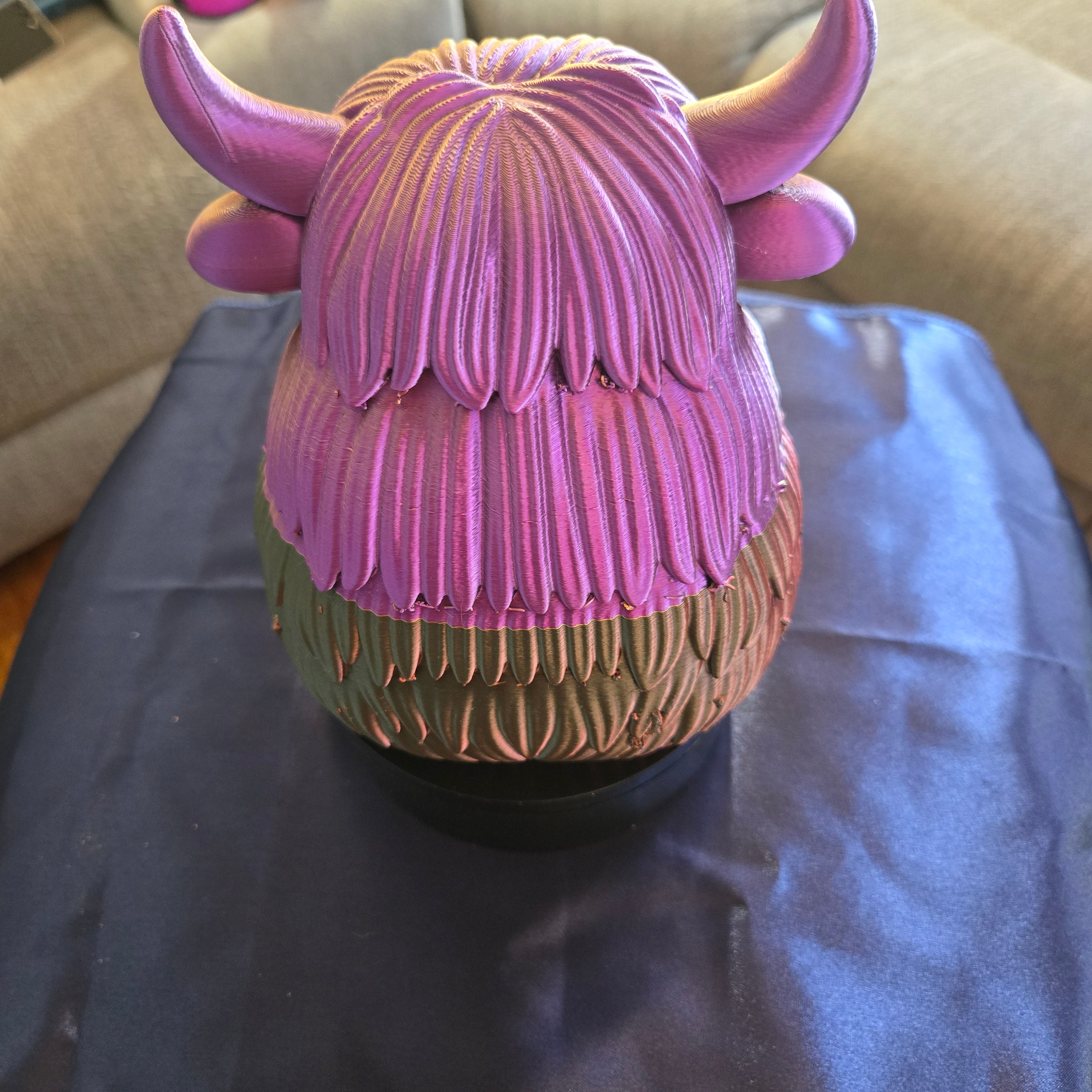 Large Highland Cow